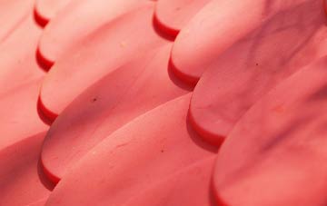 Dumplington plastic roof costs