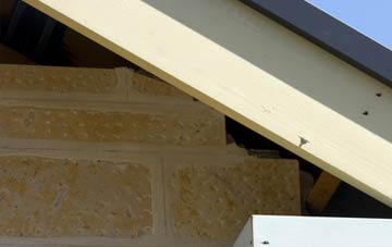 soffit repair Dumplington
